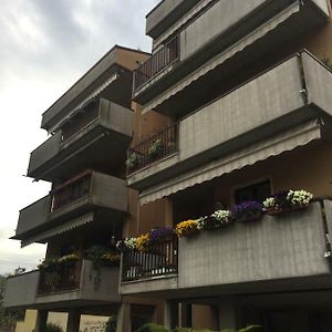 Habitación Individual Estándar